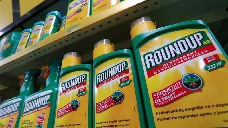 Thuốc diệt cỏ Roundup của Monsanto.