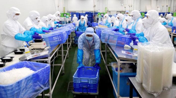 Công nhân đóng gói salad trong một nhà máy chế biến thực phẩm ở Naroshino, Nhật Bản, tháng 4/2018 - Ảnh: Reuters.