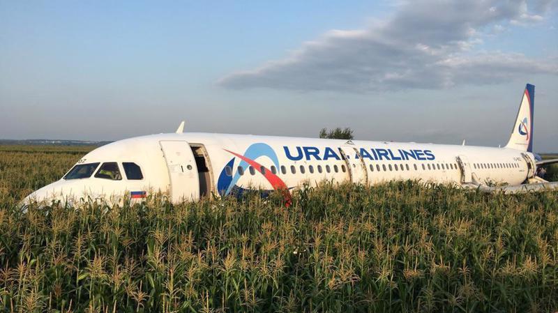 Chiếc Airbus A321 của hãng Ural Airlines ở trong trạng thái gần như nguyên vẹn giữa cánh đồng ngô ở Ramensk thuộc phía Đông Nam Moscow - Ảnh: Reuters.
