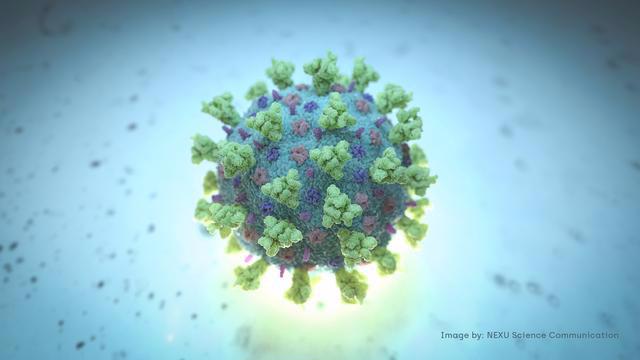 Hình ảnh tạo ra trên máy tính mô phỏng virus corona chủng mới gây bệnh Covid-19 - Nguồn: NEXU Science Communication/Reuters.