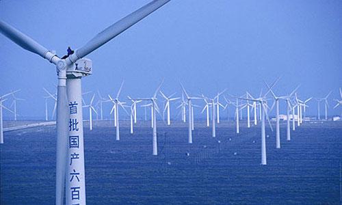 Một trang trại điện gió ở Trung Quốc.<br>