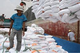 VFA cho biết, lượng gạo tồn kho đến tháng 2/2010 khoảng 1,1 triệu tấn.