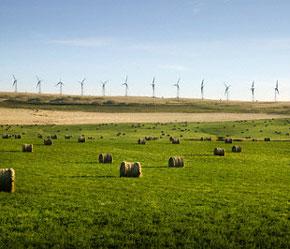 Đan Mạch hiện nay đã trở thành một trong các quốc gia hàng đầu về sản xuất các turbin gió công suất lớn.
