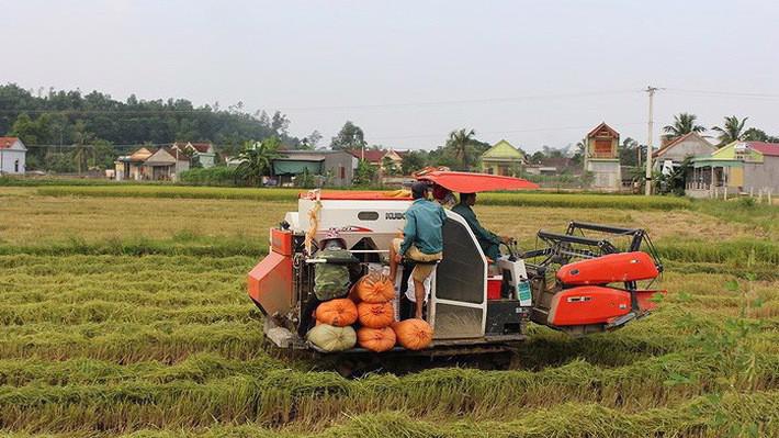 Chính phủ yêu cầu UBND 8 tỉnh trên xác định ranh giới và công khai diện tích đất trồng lúa, rừng phòng hộ, rừng đặc dụng cần bảo vệ nghiêm ngặt.