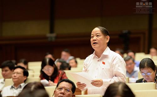 Trưởng đoàn Đại biểu Quốc hội thành phố Đà Nẵng, đại biểu Huỳnh Nghĩa.<br>