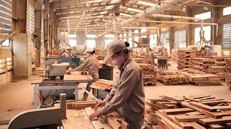 Phấn đấu đưa kim ngạch xuất khẩu gỗ và lâm sản ngoài gỗ năm 2019 đạt 11 tỷ USD.