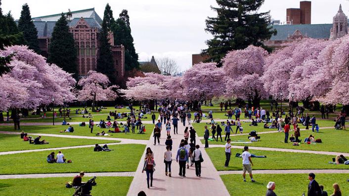 Khuôn viên trường Đại học Washington, Mỹ.