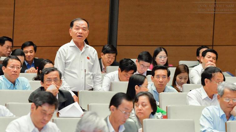 Đại biểu Lê Thanh Vân chất vấn về thương vụ MobFone mua cổ phần của Công ty Cổ phần Nghe nhìn Toàn Cầu (AVG).