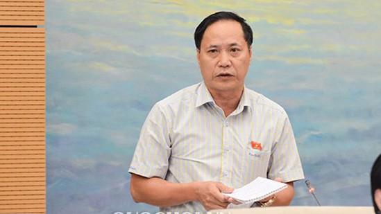 Uỷ viên Thường trực Uỷ ban Quốc phòng - An ninh của Quốc hội, ông Nguyễn Mai Bộ.