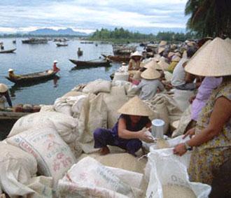 Chính phủ đã xác định chỉ tiêu xuất khẩu cả năm từ 4 - 4,5 triệu tấn gạo, đồng thời chỉ đạo ký kết hợp đồng đến hết quý 3/2008 là 3,5 triệu tấn gạo.