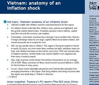 Các chuyên gia Merrill Lynch cho rằng, cuộc chiến chống lạm phát của Việt Nam có hàm chứa nhiều bài học quan trọng cho khu vực.