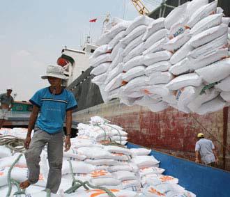 Kim ngạch xuất khẩu gạo của Việt Nam tuy lớn, nhưng cũng chỉ đủ để nhập phân bón!