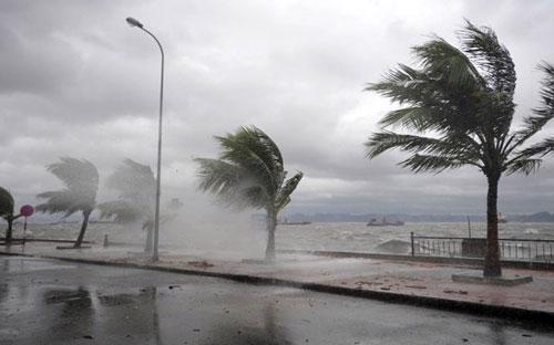 Mức độ ảnh hưởng và tàn phá của siêu bãi Haiyan khi vào Việt Nam đã không lớn như khi qua Philippines.<br>