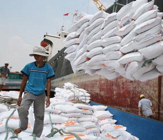  6 tháng đầu năm 2009, Việt Nam xuất khẩu được 3,6 triệu tấn gạo, đạt kim ngạch 1,5 tỷ USD.