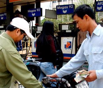 Việc xuất khẩu không ảnh hưởng đến cung cầu thị trường trong nước - Ảnh: Việt Tuấn