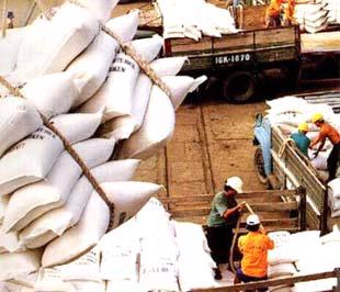 Theo báo cáo từ Hiệp hội Lương thực Việt Nam, chỉ trong tháng 1, cả nước đã xuất khẩu được 310.000 tấn, đây là tháng xuất khẩu cao nhất trong lịch sử kể từ năm 1989 đến nay.