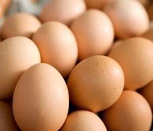 Cục trưởng Cục Chăn nuôi Hoàng Kim Giao không tin có melamine trong trứng.
