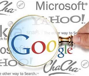 Các công ty sở hữu công nghệ về máy tìm kiếm thường bán các dịch vụ tìm kiếm cho các công ty có khối lượng dữ liệu lớn và phân tán.