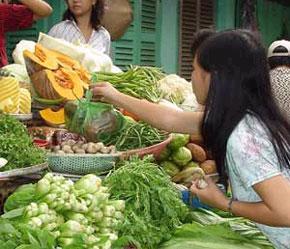 Hiện nay, hầu hết các trang trại đều ở trong tình trạng tự sản xuất, tự tiêu thụ với các sản phẩm còn nguyên gốc, rễ khi bán cho thương lái.