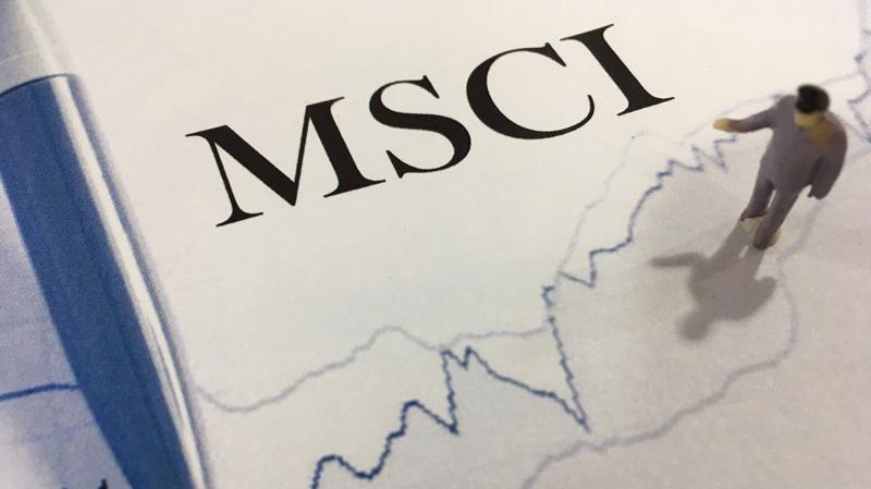 MSCI xếp hạng 69 quốc gia rất độc lập và khoa học và dựa trên phỏng vấn các quỹ đầu tư ngoại. 