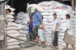 Xuất khẩu gạo sang các nước châu Á năm 2009 chiếm gần 62% tổng kim ngạch xuất khẩu gạo của Việt Nam.