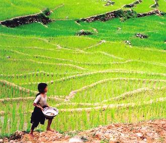 Việt Nam đã được cộng đồng quốc tế ghi nhận đạt được những thành tựu ấn tượng về xóa đói, giảm nghèo.