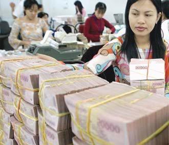 Một số người cho rằng tiền đồng hiện đang do các quỹ đầu cơ nắm giữ và đến một lúc nào đó họ sẽ tấn công vào đồng tiền trong nước để trục lợi và gây tổn hại cho nền kinh tế Việt Nam như từng đã xảy ra ở một số nước.