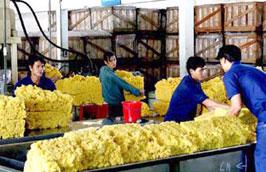 2010 là năm kỷ lục đối với ngành cao su Việt Nam vì giá bán cao su liên tục tăng, có lúc đạt trên 4.000 USD/tấn. 