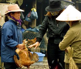 Giá tiêu dùng trước Tết năm nay tăng rất sớm.