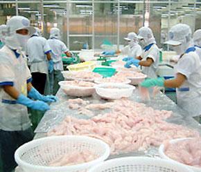 Sau thị trường Mỹ, doanh nghiệp thủy sản Việt Nam lại bị vướng "rào cản kỹ thuật" tại thị trường Nhật Bản.
