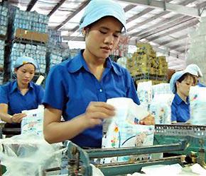 Công nhân trên dây chuyền sản xuất các loại sản phẩm tã giấy, tã vải, khăn giấy ướt... của Công ty TNHH Kyvy trong Khu công nghiệp Tân Bình - Ảnh: TT.