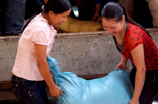 Trong dịp Tết Nguyên đán và thời điểm giáp hạt năm 2010 vừa qua, Chính phủ và một số địa phương đã cấp tổng cộng 37.656 tấn gạo cho hơn 404.000 hộ dân nghèo, người dân bị ảnh hưởng bởi thiên tai.