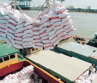 Tại Việt Nam, sản lượng lúa hè thu ở ĐBSCL tăng mạnh; giá thóc gạo nội địa giảm với tốc độ nhanh. Trong khi đó, nhu cầu nhập khẩu gạo trên thị trường thế giới đang chững lại.