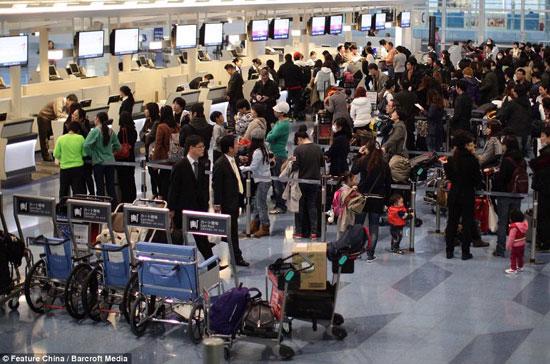 Người dân chờ mua vé máy bay đi bất cứ đâu miễn là ra khỏi Tokyo lúc này.