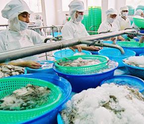Theo thống kê của Bộ Thuỷ sản từ năm 2004 đến nay, giá xuất khẩu mặt hàng cá tra chế biến luôn đạt từ 3,5-4 USD/kg - Ảnh: Việt Tuấn.