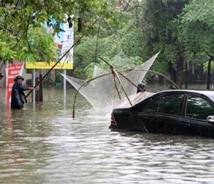 Đánh bắt cá trên phố Nguyên Hồng (Hà Nội) sau cơn mưa lớn - Ảnh: VNN.