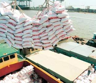 So với cùng kỳ năm 2007, lượng gạo xuất khẩu giảm khoảng gần 1,7%, nhưng trị giá tăng 94%. 