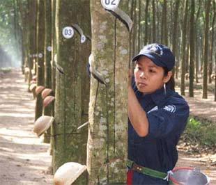 Chuyên gia kỹ thuật Công ty Cổ phần Bảo vệ thực vật An Giang tập huấn kỹ thuật cho nông dân Candal - Ảnh: Thành Phúc 