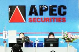 Năm 2010, APEC đặt kế hoạch tăng trưởng lợi nhuận gấp 5 lần so với năm 2009, đạt khoảng 60 - 70 tỷ đồng.