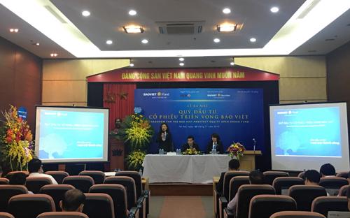 Quỹ BVPF sử dụng chiến lược đầu tư chủ động, tập trung vào các cổ phiếu niêm yết trên thị trường chứng khoán Việt Nam. 
