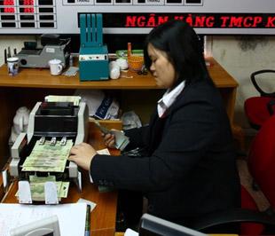 Từ ngày 23/1 đến ngày 20/2/2009, số tiền giải ngân theo chương trình hỗ trợ lãi suất trong toàn hệ thống ngân hàng ước đạt gần 80.000 tỷ đồng - Ảnh: Việt Tuấn.