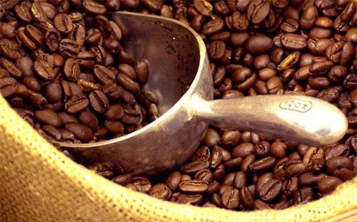 Xuất khẩu cà phê niên vụ 2012/2013 giảm 8,72% về lượng và giảm 11,66% về giá trị kim ngạch so với niên vụ 2011/2012. 