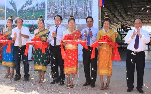 Khánh thành nhà máy chế biến mủ cao su Hoàng Anh Attapeu tại Lào.
