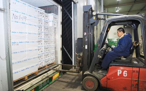 Đại diện Intimex cho biết, những trái táo Aomori đầu tiên được nhập khẩu
 bởi Intimex đã chính thức cập cảng Hải Phòng và dự kiến sẽ được mở bán 
rộng rãi vào ngày 18 tháng 12 tới.
