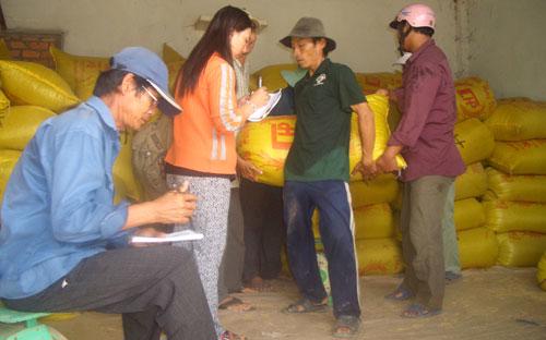 Nông dân ở thị xã Tân Châu (An Giang) bán lúa hè thu.