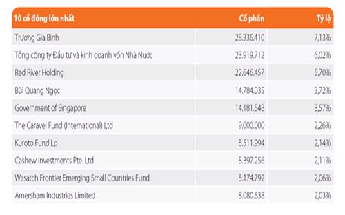 10 cổ đông lớn nhất của FPT - Nguồn: báo cáo thường niên năm 2015.<br>