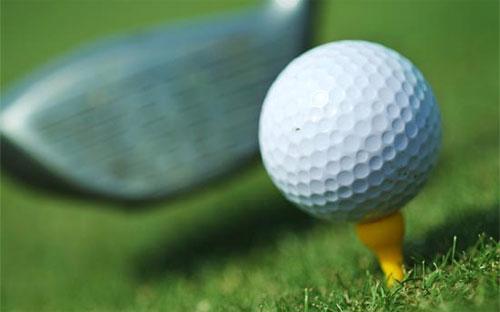 PV-Inconess hoạt động trong nhiều lĩnh vực đầu tư, thương mại nhưng hoạt
 động chính là đầu tư và kinh doanh sân golf.<br>