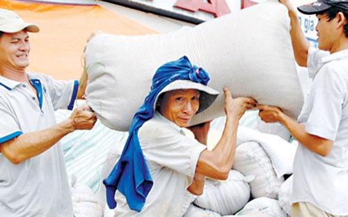 Tuần qua, giá gạo xuất khẩu của Việt Nam giảm do nhu cầu ảm đạm của thị trường.