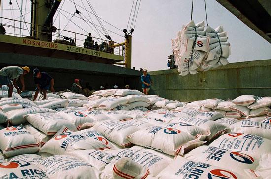 Gạo xuất khẩu 6 tháng đầu năm 2012 đạt 3,7 triệu tấn, với giá trị 1,7 tỷ USD, so cùng kỳ năm trước giảm 8,8% về lượng và 13,5% về giá trị.