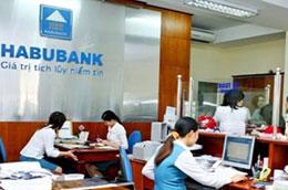 Đến hết quý 3/2010, tổng tài sản Habubank là 34.850 tỷ đồng, tổng huy động 30.441 tỷ đồng, tổng dư nợ 17.600 tỷ đồng và lợi nhuận trước thuế 478 tỷ đồng.